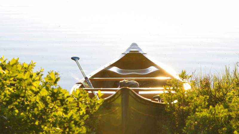 EUR/USD chart showing Fibonacci retracement and trade entry