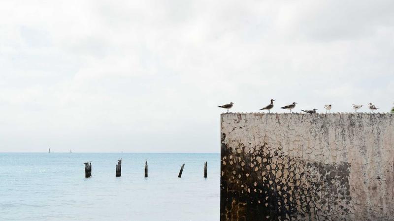 Risk management tools on trading platform screen