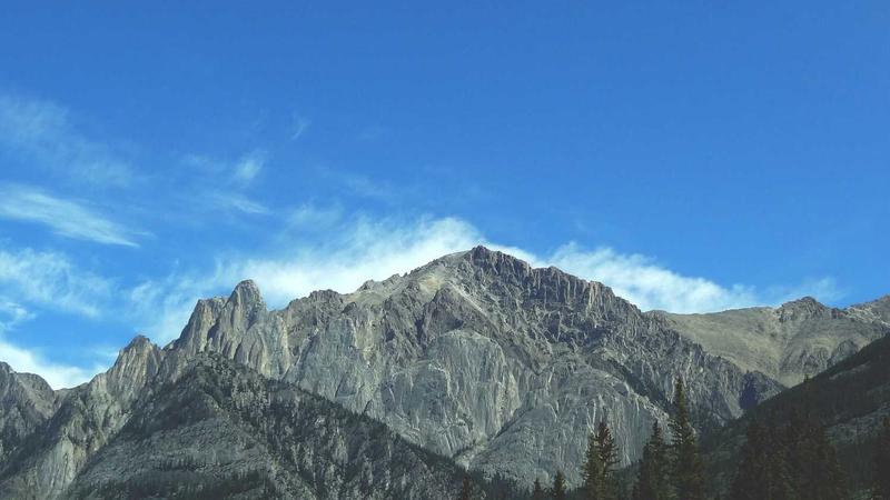 Trader analyzing major and minor currency pairs charts