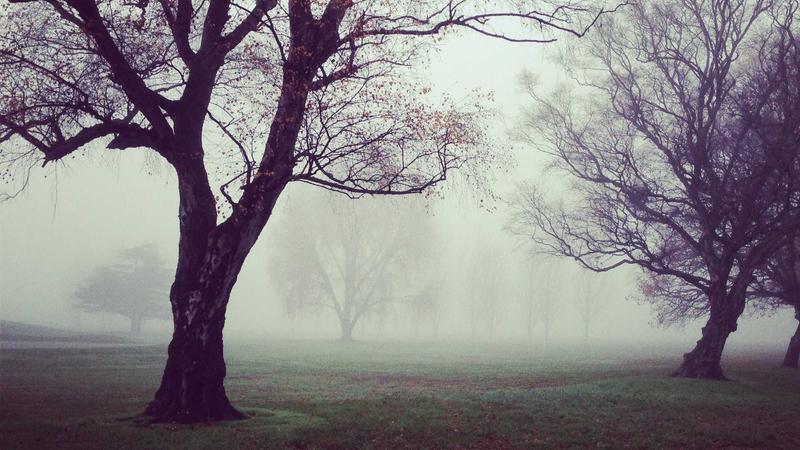 Forex breakout chart showing price breaking resistance level