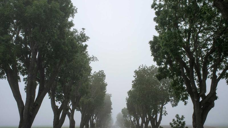 Pepperstone forex dashboard