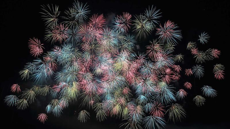 Trader checking charts and risk management setup