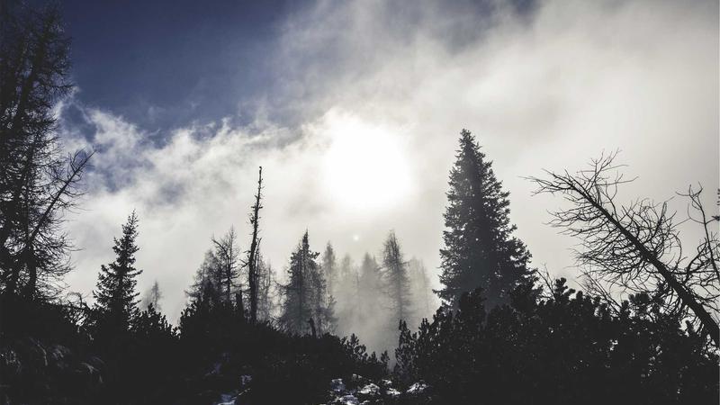 Price movement charts of top currency pairs