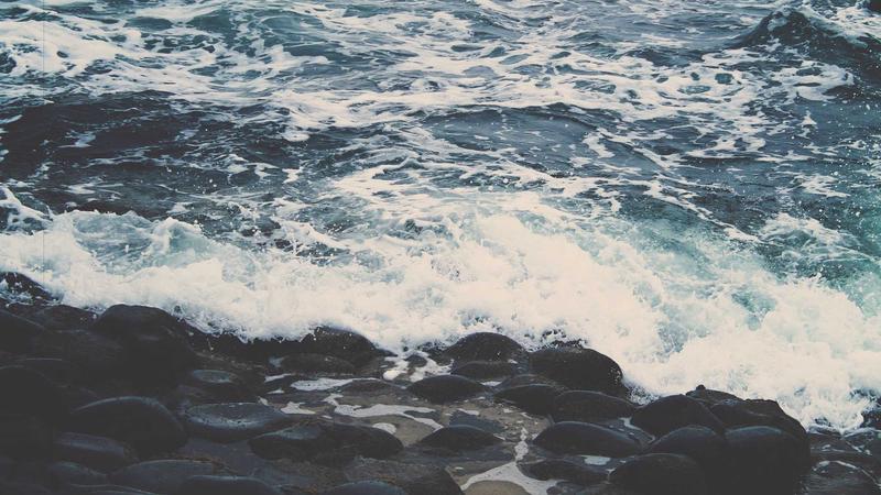 Trader reviewing charts with Bollinger Bands