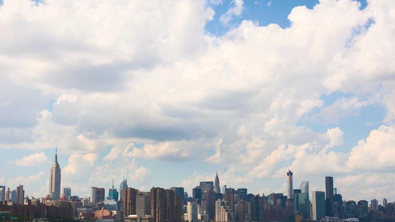 Trader using forex platform with charts on screen