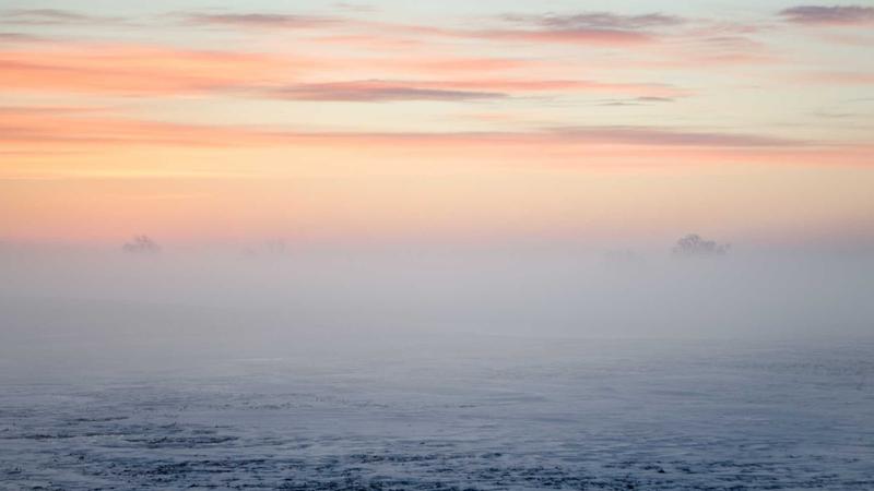 Forex chart with automated trading signals