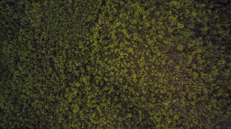 cTrader desktop interface showing trading dashboard