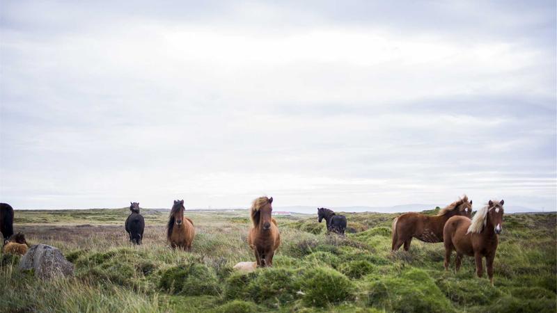 Trader using mobile forex app on smartphone