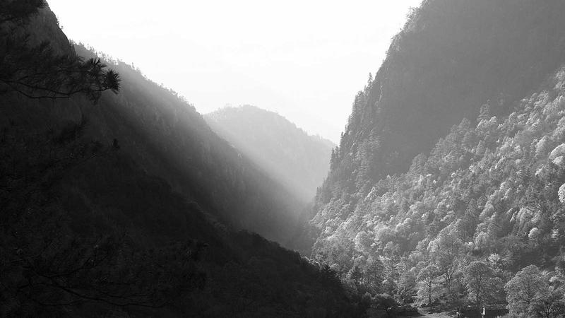 Trader Reviewing Forex Charts and Strategy