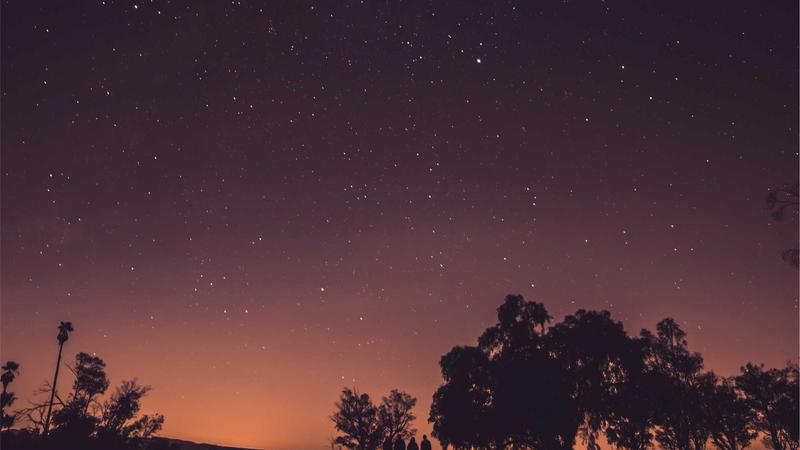 Japanese rice trader candlestick chart origins