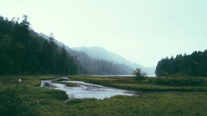 Trader smiling looking at forex charts