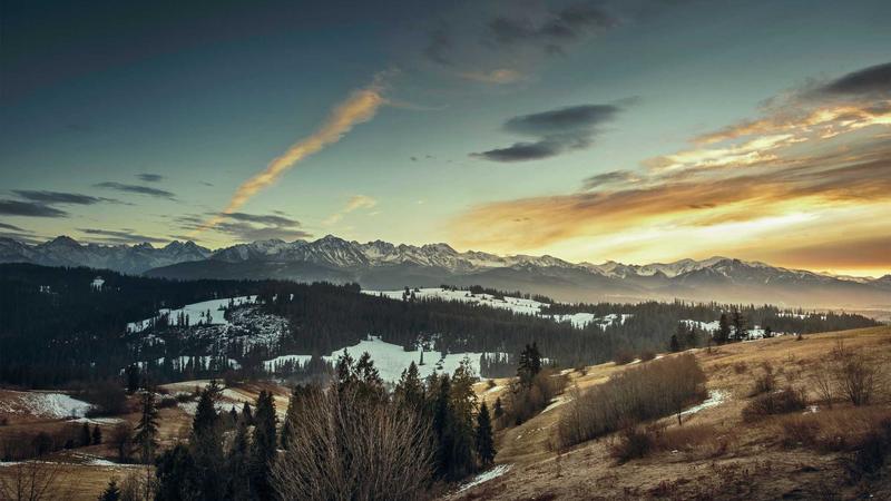 Trader analyzing candlestick charts on multiple screens