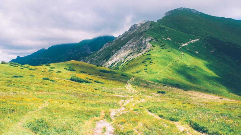 Comparison chart of mobile forex trading platforms