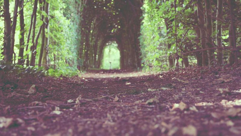 Trader writing in a trading journal