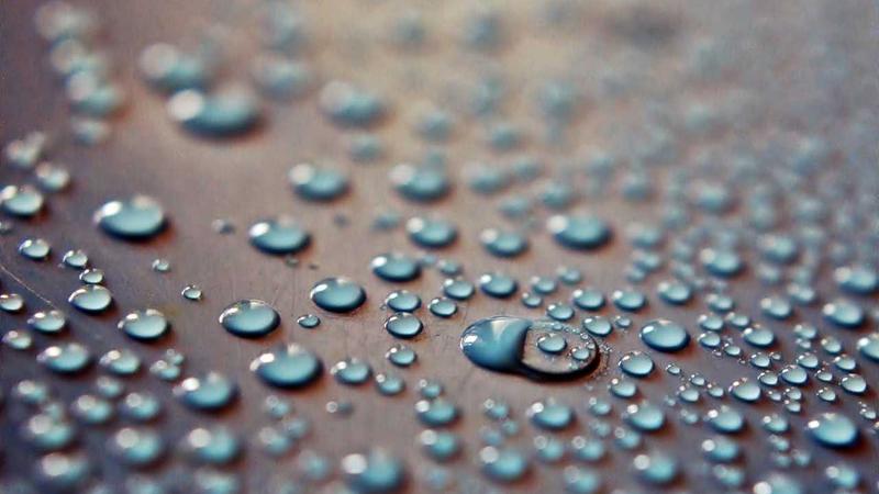 Trader using a forex demo account on laptop