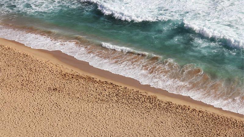 Trader using forex risk management app on laptop