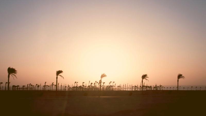 Trader analyzing forex charts on multiple screens