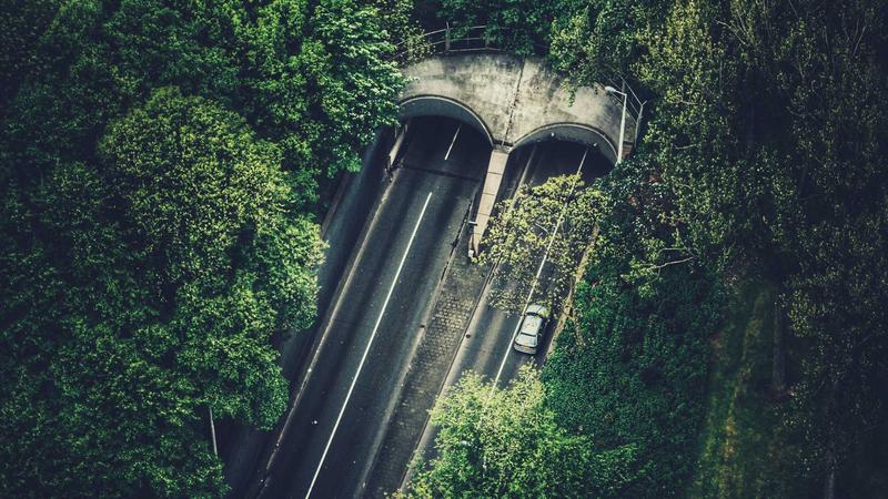 Forex trader reviewing automated trading performance