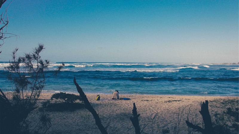 Forex trading chart showing adaptive system performance