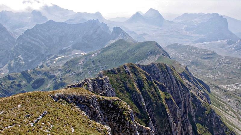 Trader analyzing position sizing on forex screen