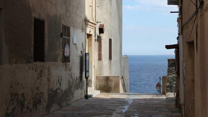 Beginner trader reading forex educational resources