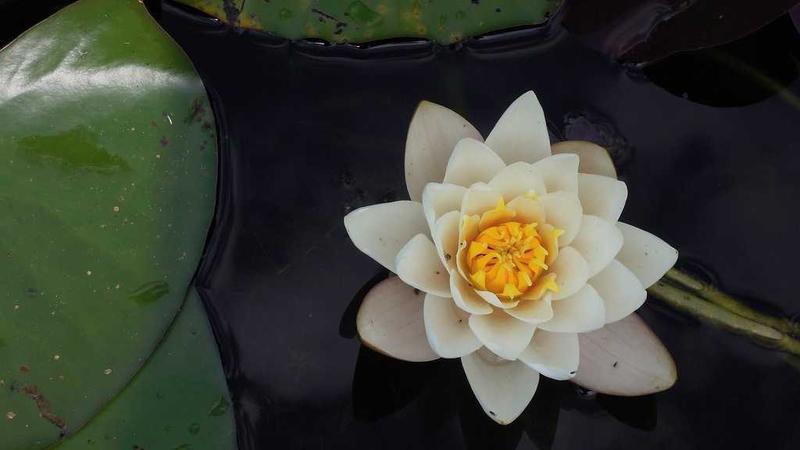 Trading tools on a computer screen