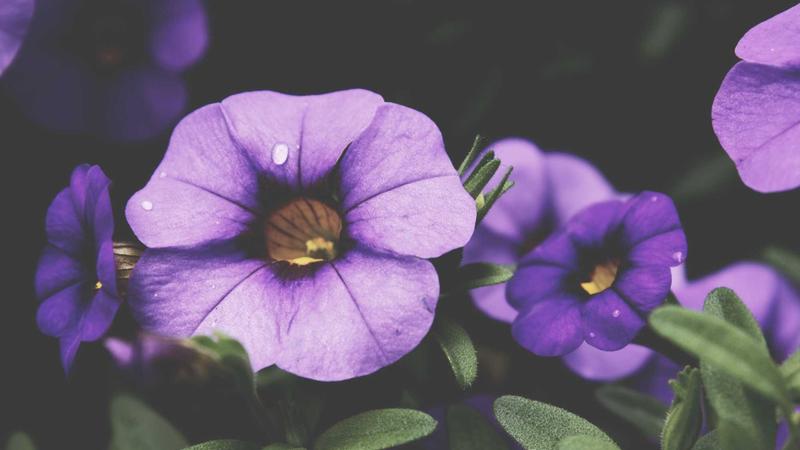 Mobile forex trading app screenshot