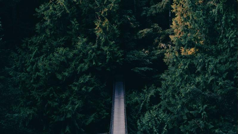 Forex chart showing trading patterns