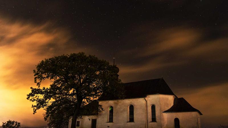 Forex trader analyzing risk management strategies on a computer screen